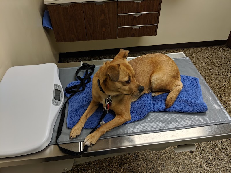 Lyndale Animal Hospital