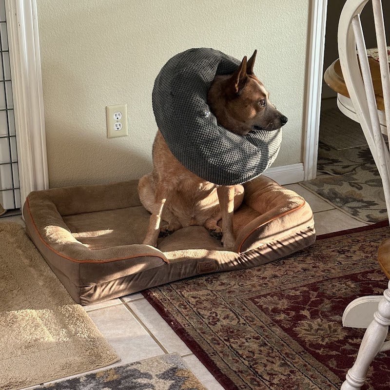 VROC (Veterinary Regional Orthopedic Center)