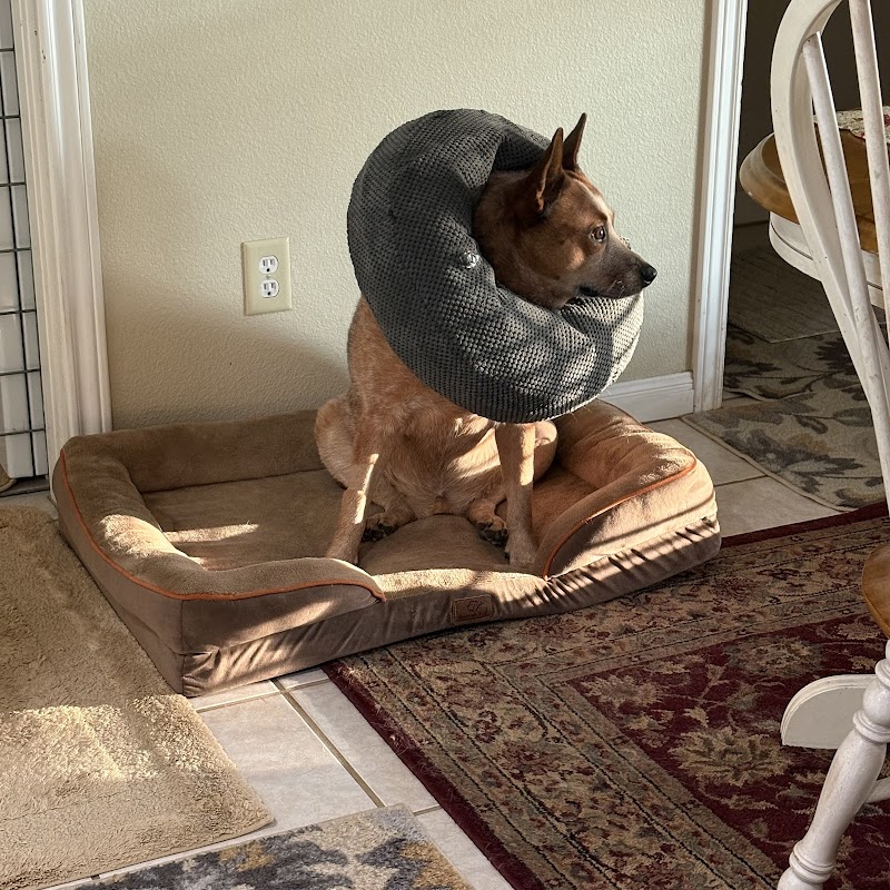 VROC (Veterinary Regional Orthopedic Center)
