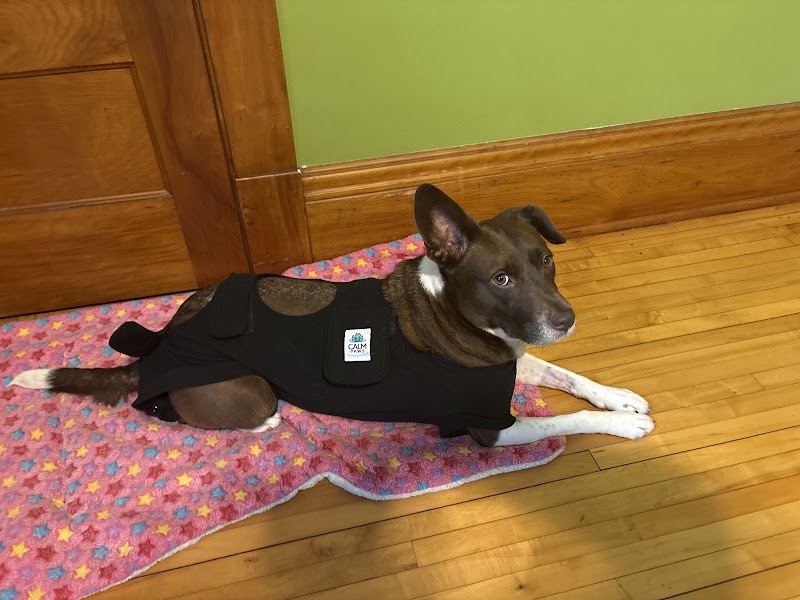 Small Animal Hospital