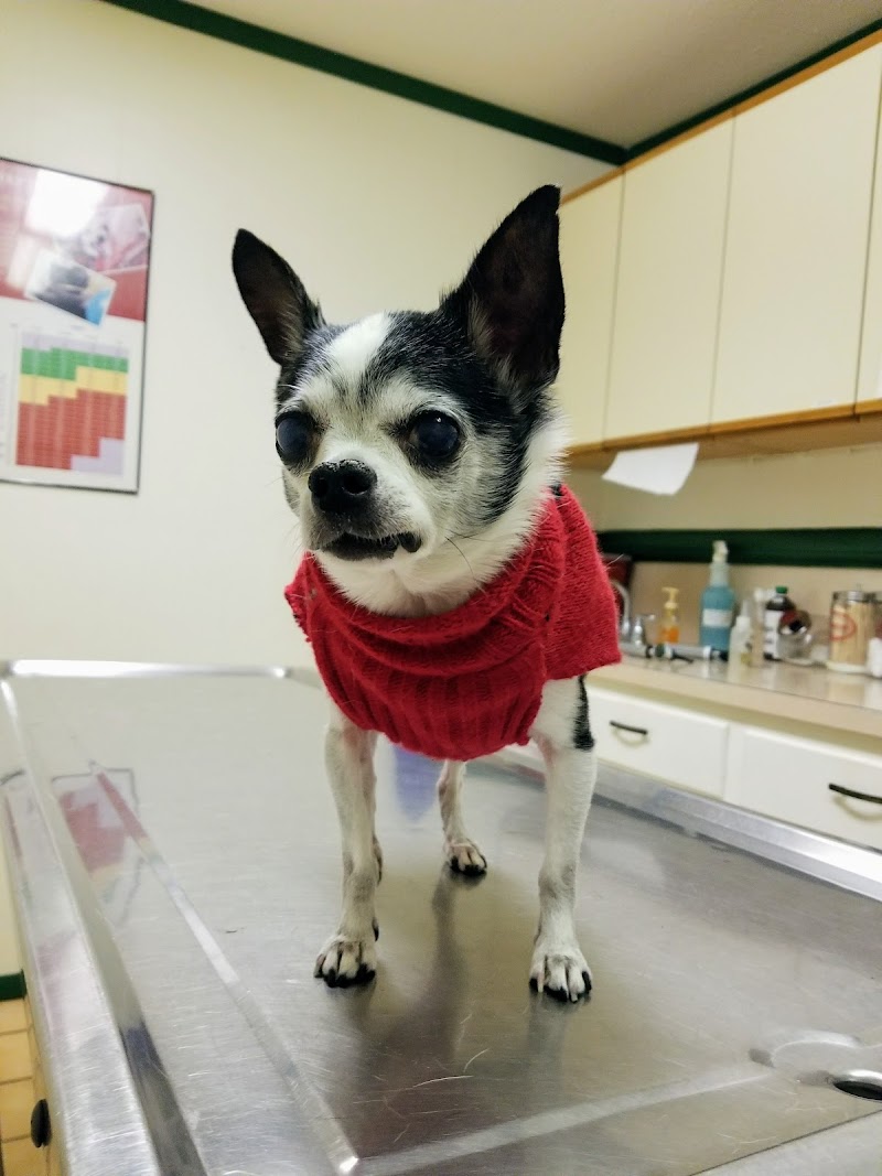 Northwest Veterinary Hospital