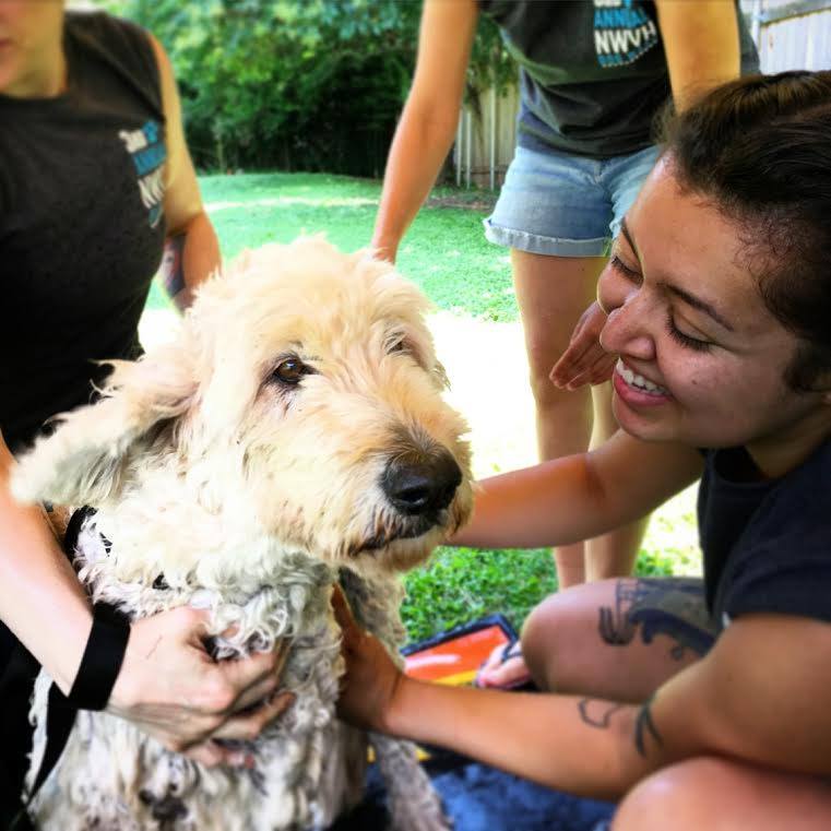 Northwest Veterinary Hospital