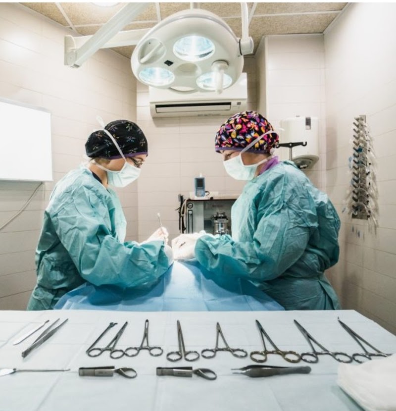 Clínica veterinària Almogàvers Parc
