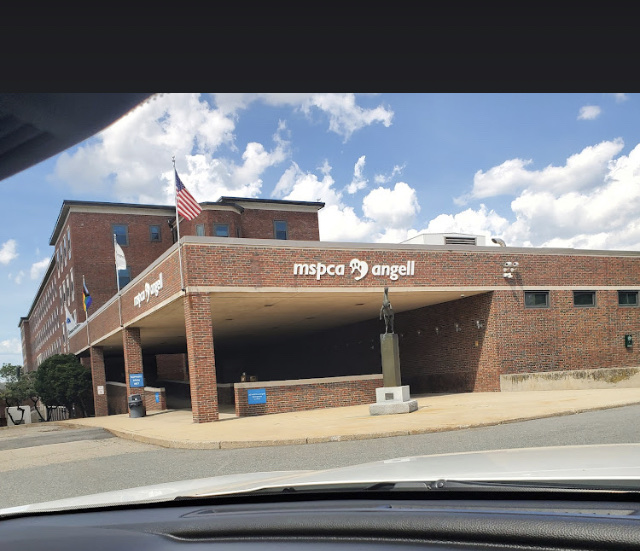 MSPCA Animal Care and Adoption Center