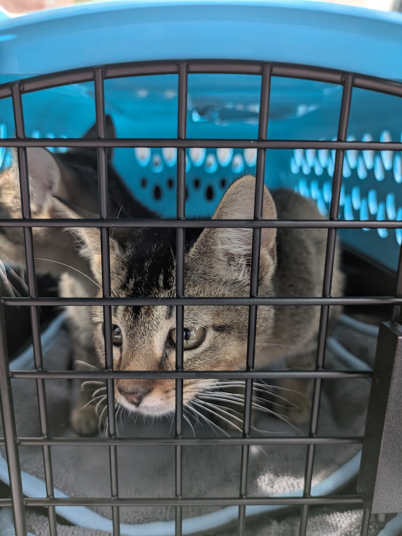 MSPCA Animal Care and Adoption Center