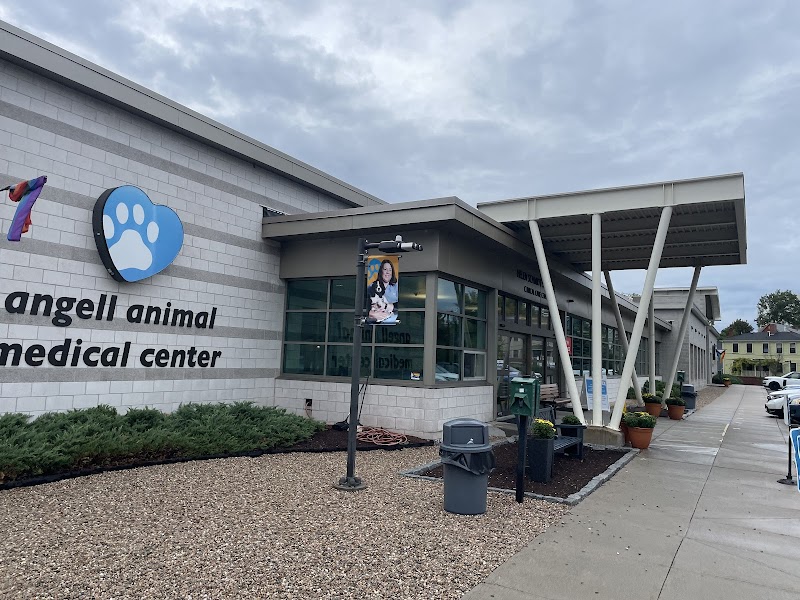 Angell Animal Medical Center