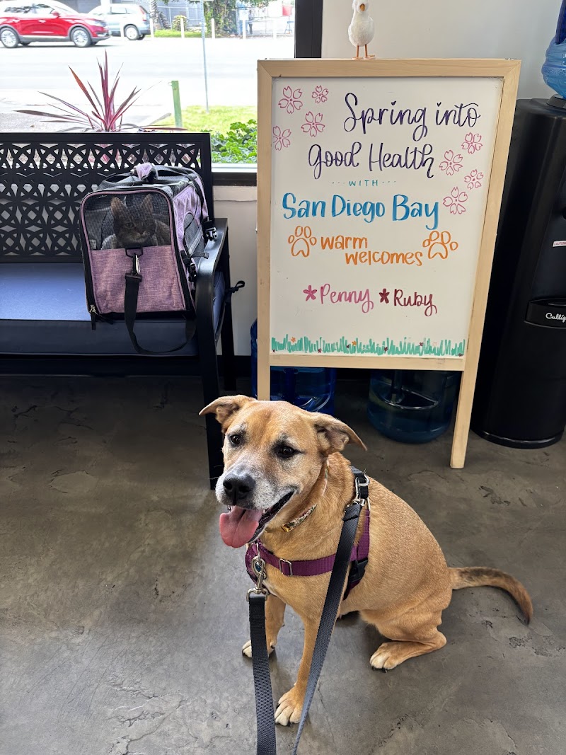 San Diego Bay Animal Hospital