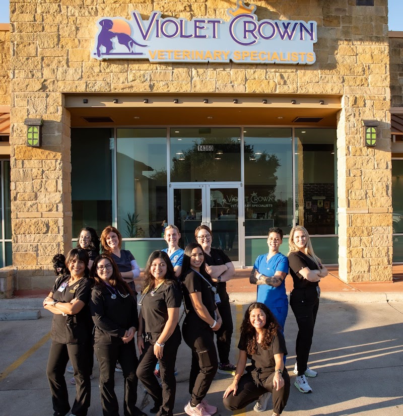 Violet Crown Veterinary Specialists