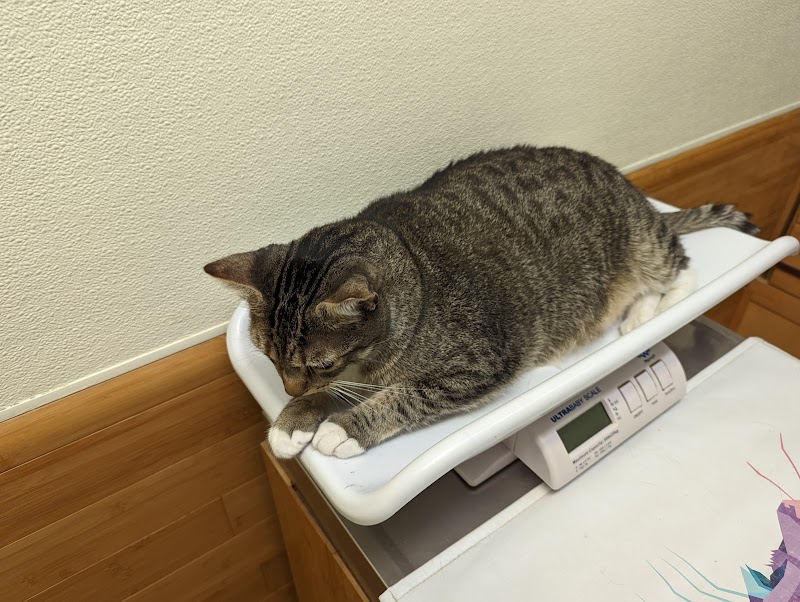 Animal Medical Center San Rafael