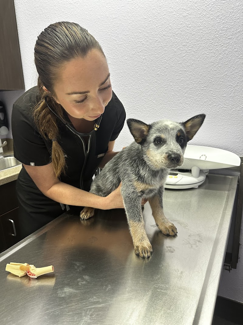 SOCAL Veterinary Hospital