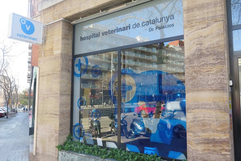 Hospital Veterinari de Catalunya - Sarrià