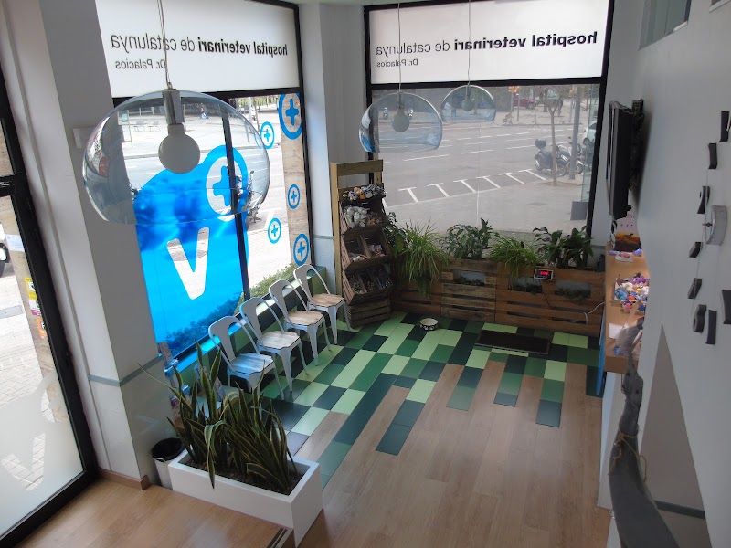 Hospital Veterinari de Catalunya - Sarrià