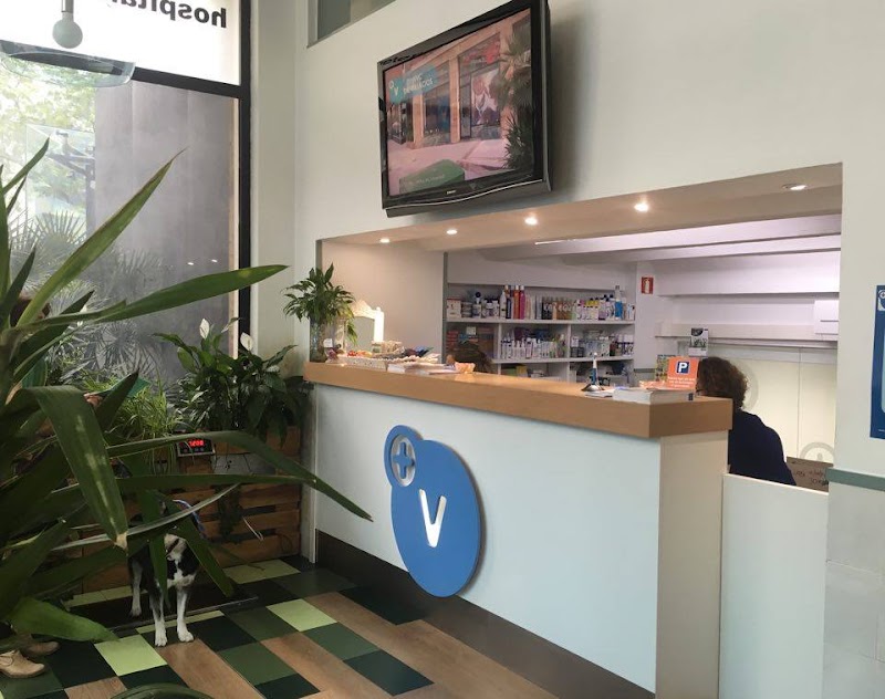 Hospital Veterinari de Catalunya - Sarrià