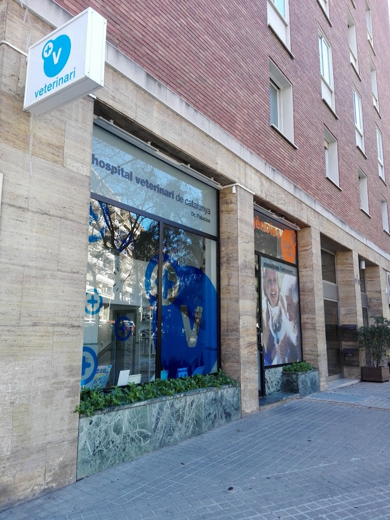Hospital Veterinari de Catalunya - Sarrià
