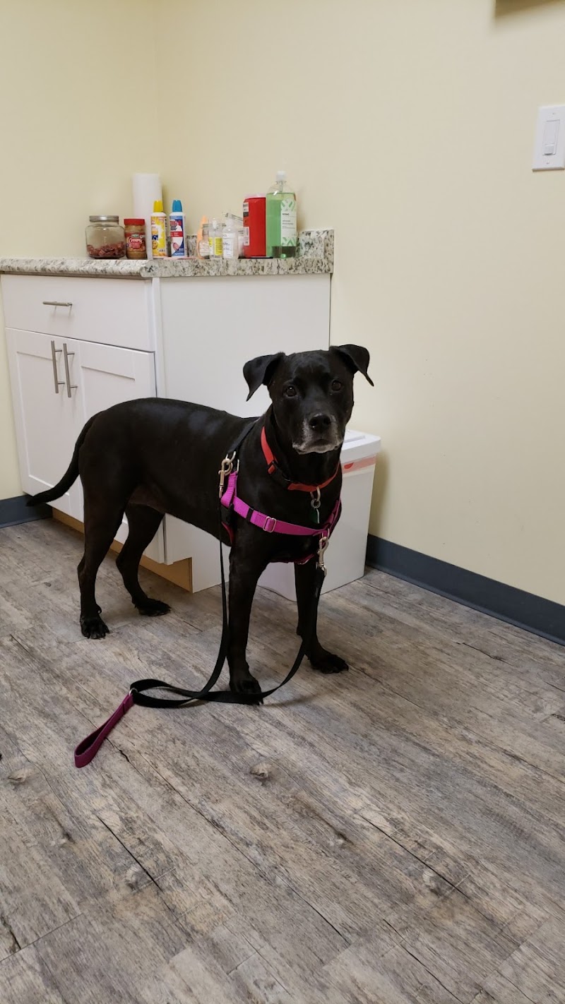 Neighborhood Veterinary Centers - Houston Heights