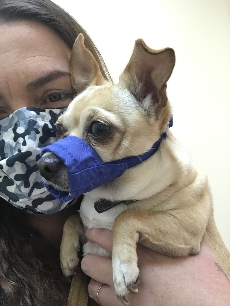 Neighborhood Veterinary Centers - Houston Heights