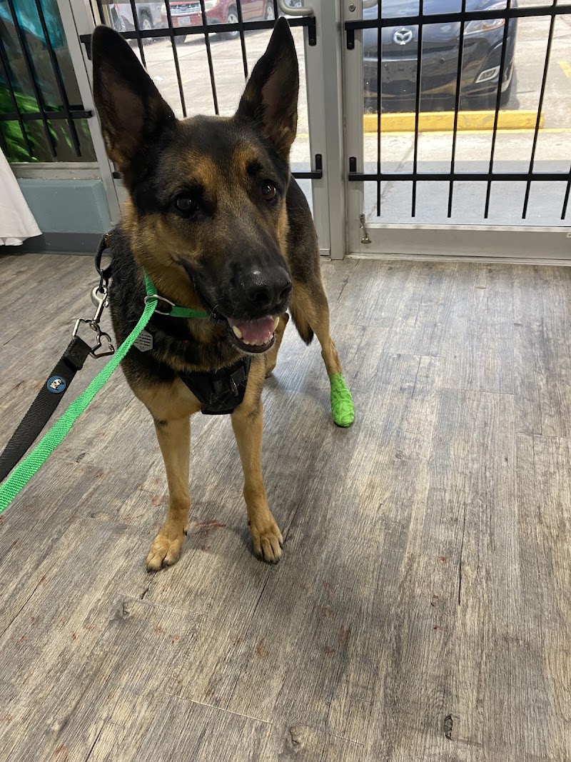 Neighborhood Veterinary Centers - Houston Heights