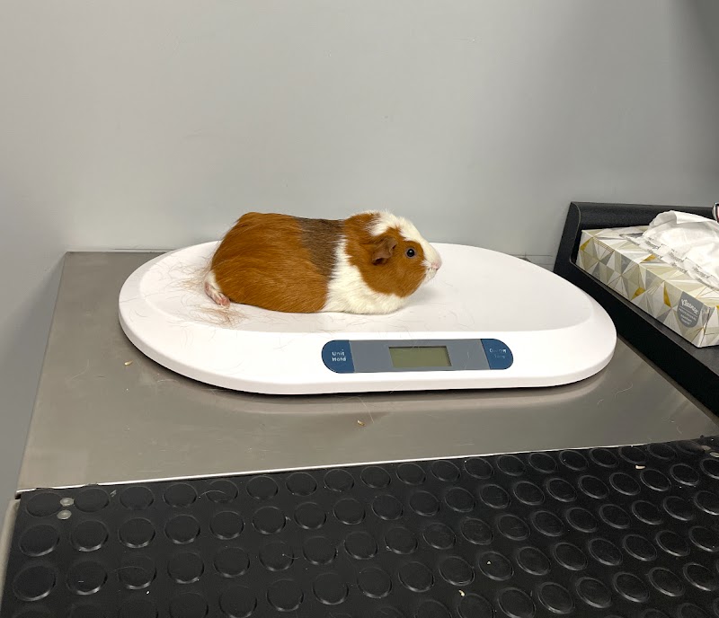 2nd Street Animal Hospital & Exotic Clinic