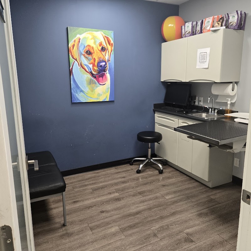 2nd Street Animal Hospital & Exotic Clinic