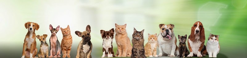 Northern Liberties Veterinary Center - Philadelphia