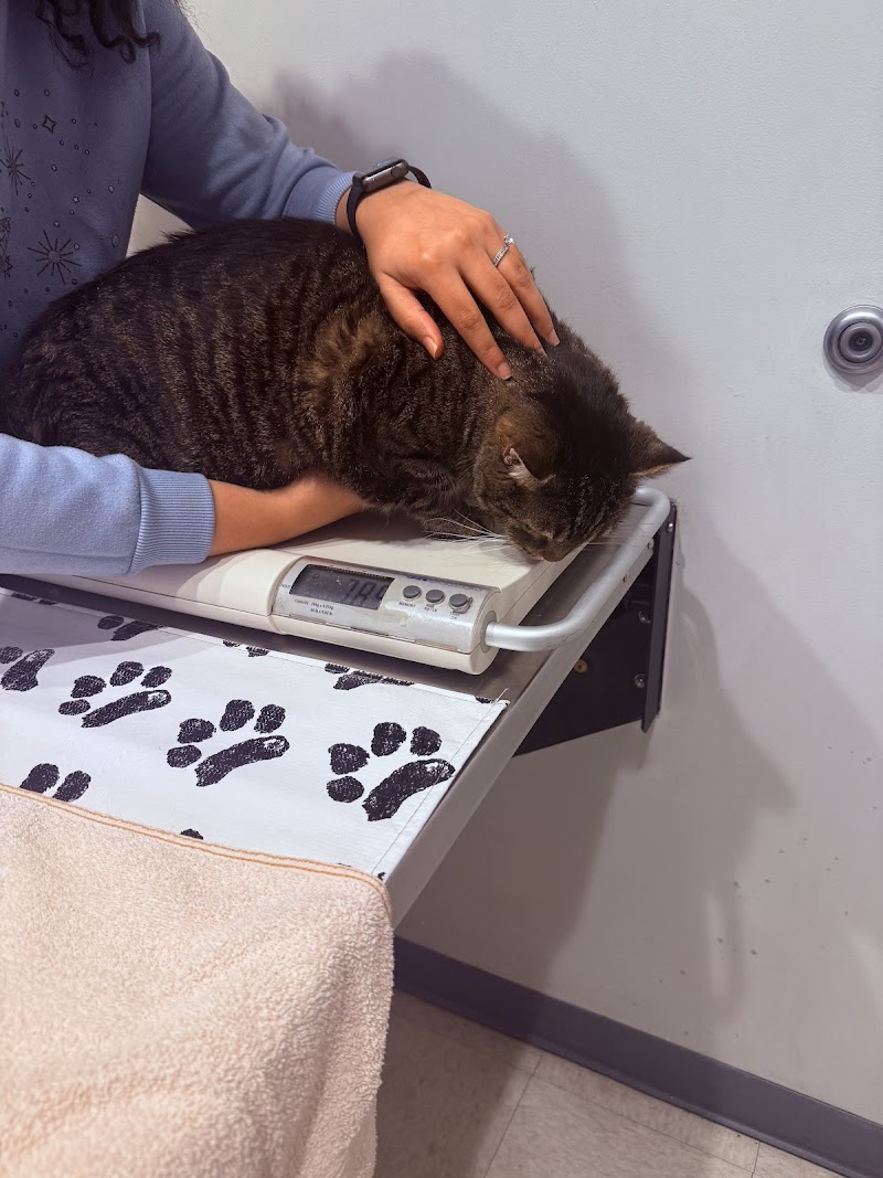 Northern Liberties Veterinary Center
