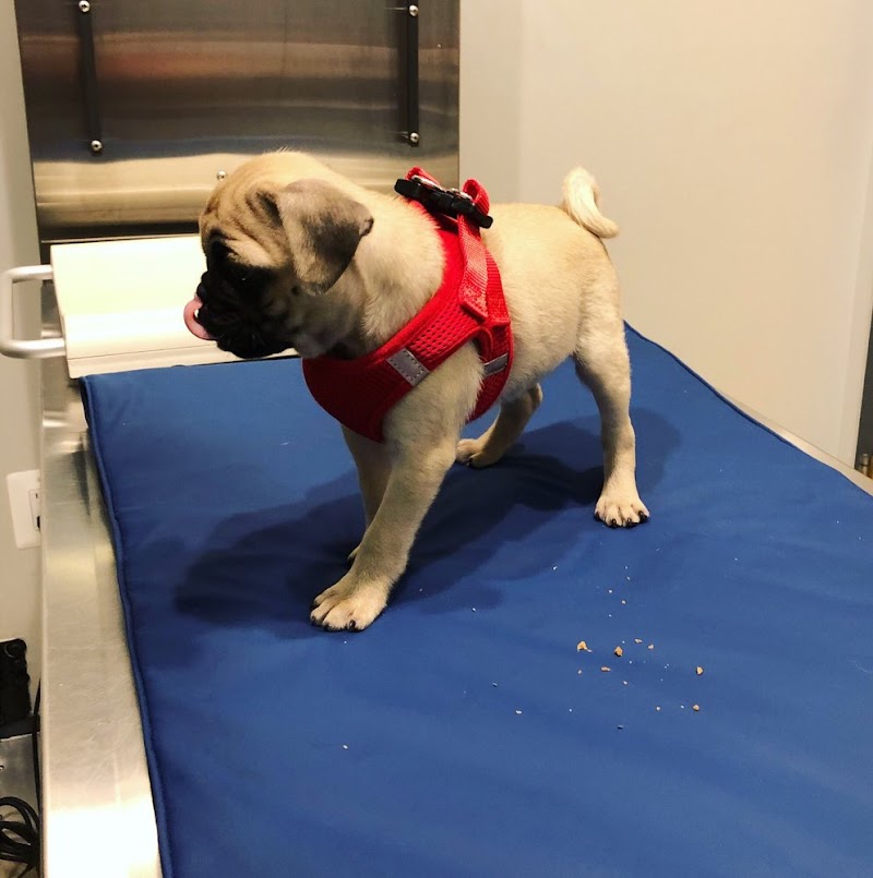 Northern Liberties Veterinary Center