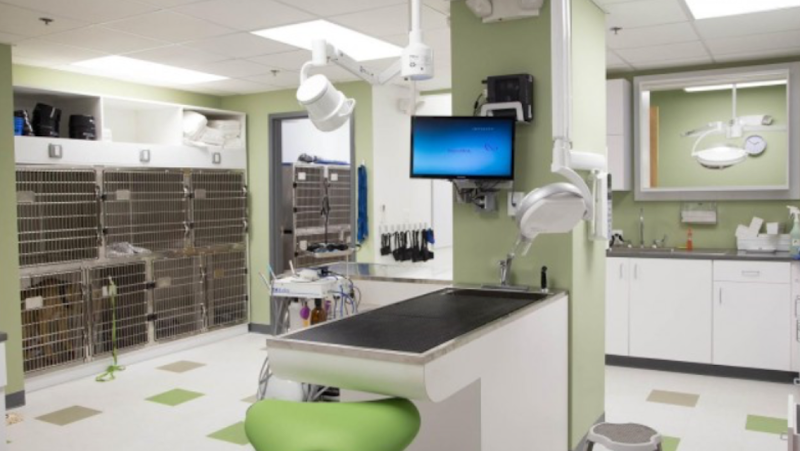 Northern Liberties Veterinary Center