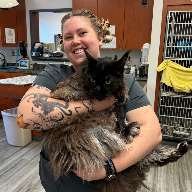 Cat Care of Vinings