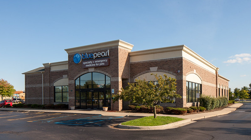 BluePearl Pet Hospital - Chicago