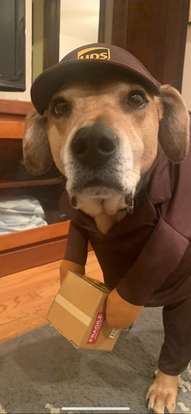 BluePearl Pet Hospital
