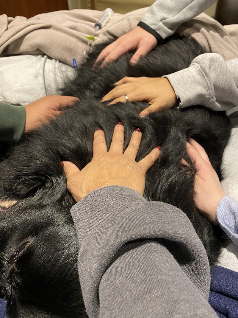 BluePearl Pet Hospital