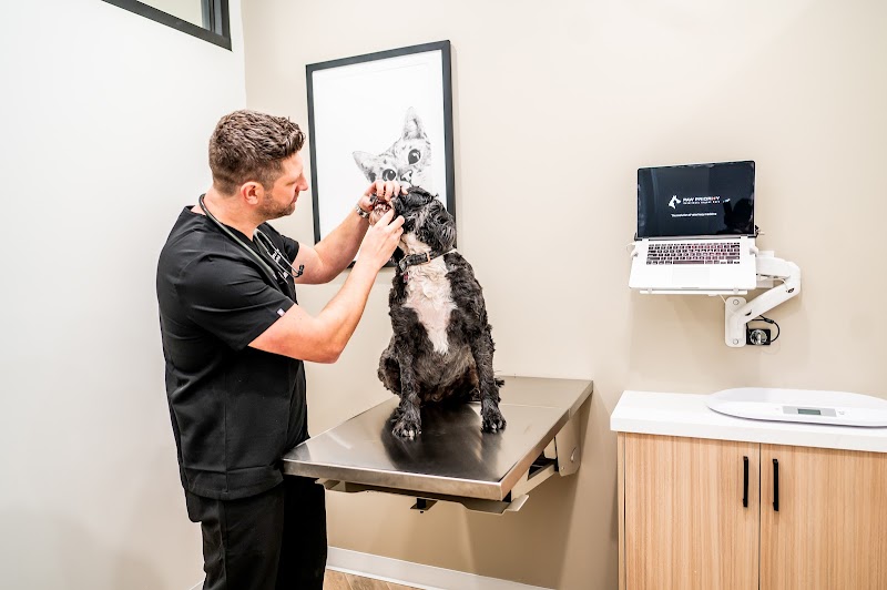 Paw Priority: Veterinary Urgent and Primary Care
