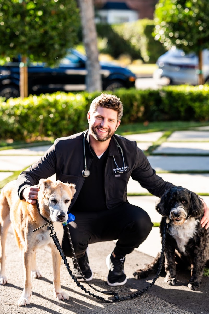 Paw Priority: Veterinary Urgent and Primary Care