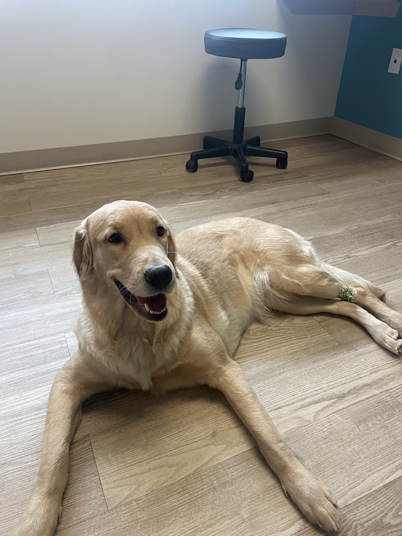 Pinnacle Veterinary Specialists