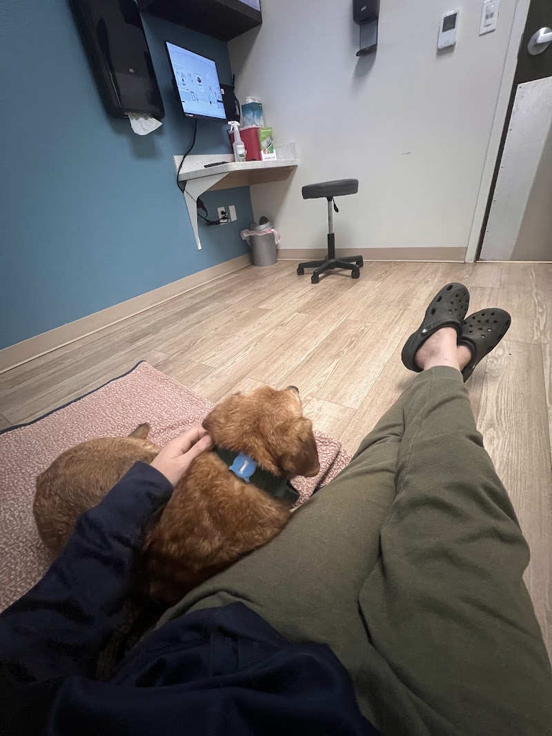 Pinnacle Veterinary Specialists