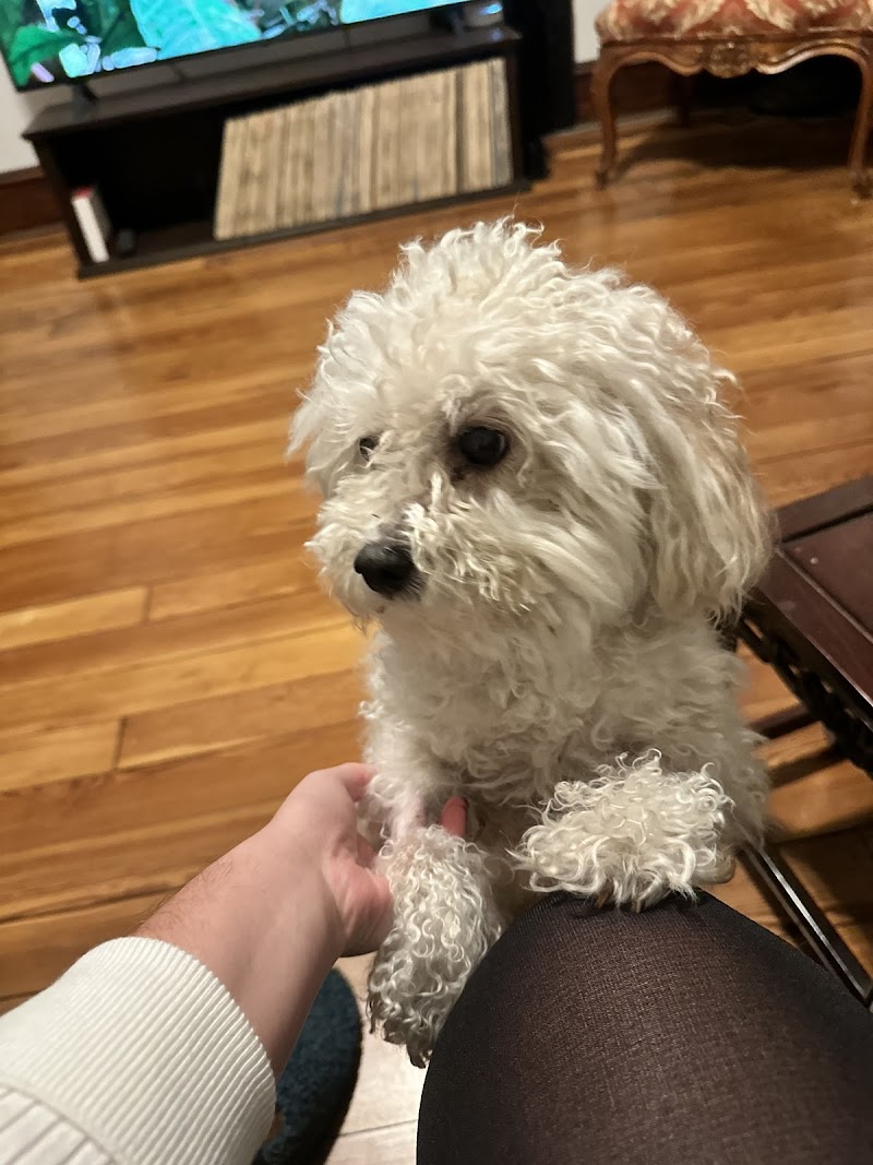 Pinnacle Veterinary Specialists
