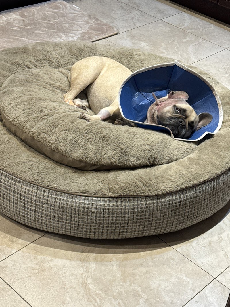 Metropolitan Animal Specialty Hospital (MASH)