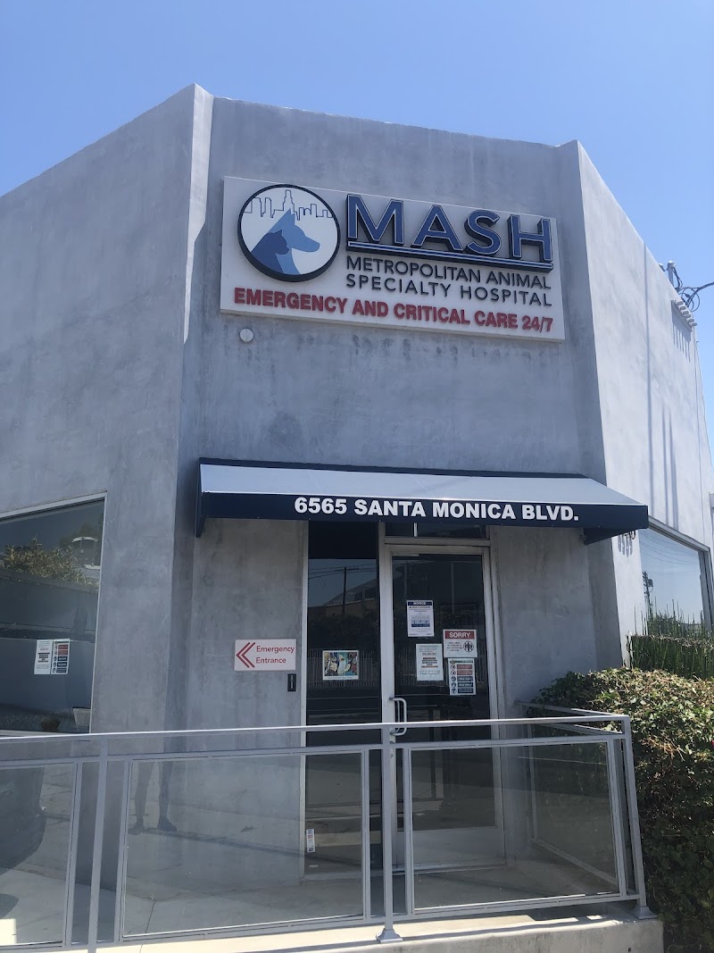 Metropolitan Animal Specialty Hospital (MASH)