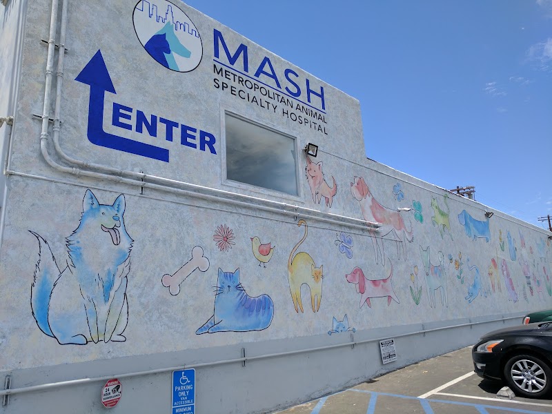 Metropolitan Animal Specialty Hospital (MASH)
