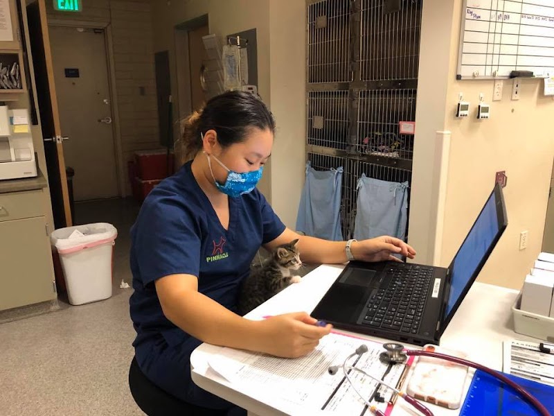 VCA Pinnacle Animal Hospital