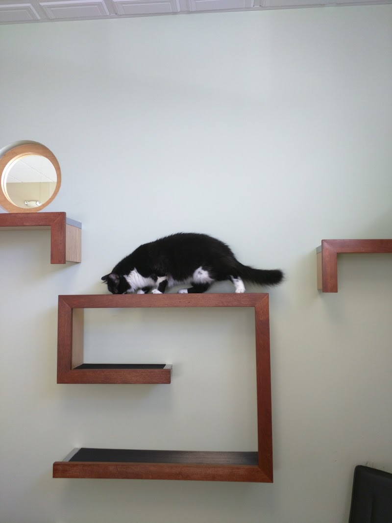 VCA Pinnacle Animal Hospital