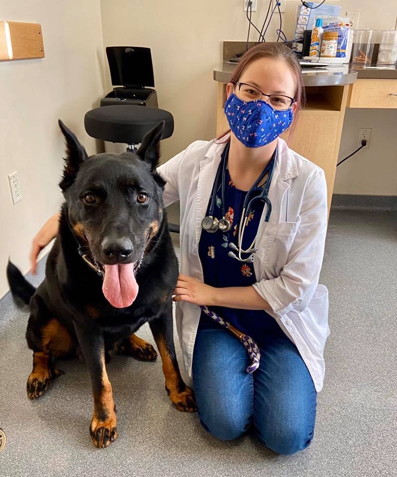 VCA Pinnacle Animal Hospital