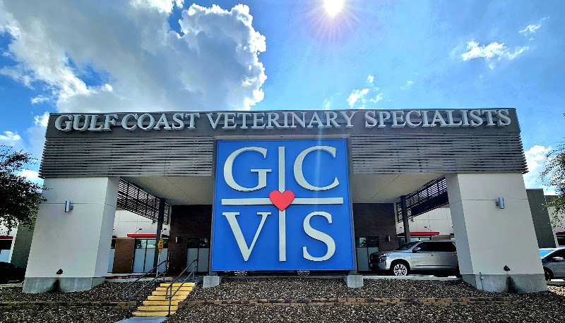 Gulf Coast Veterinary Specialists (GCVS)