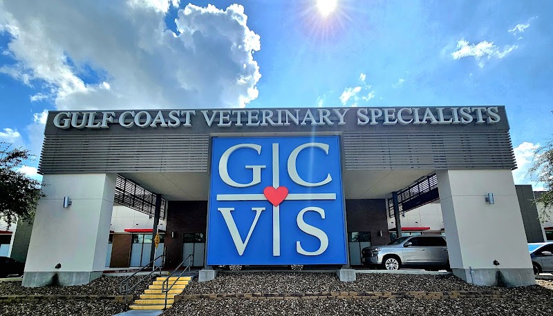 Gulf Coast Veterinary Specialists (GCVS)