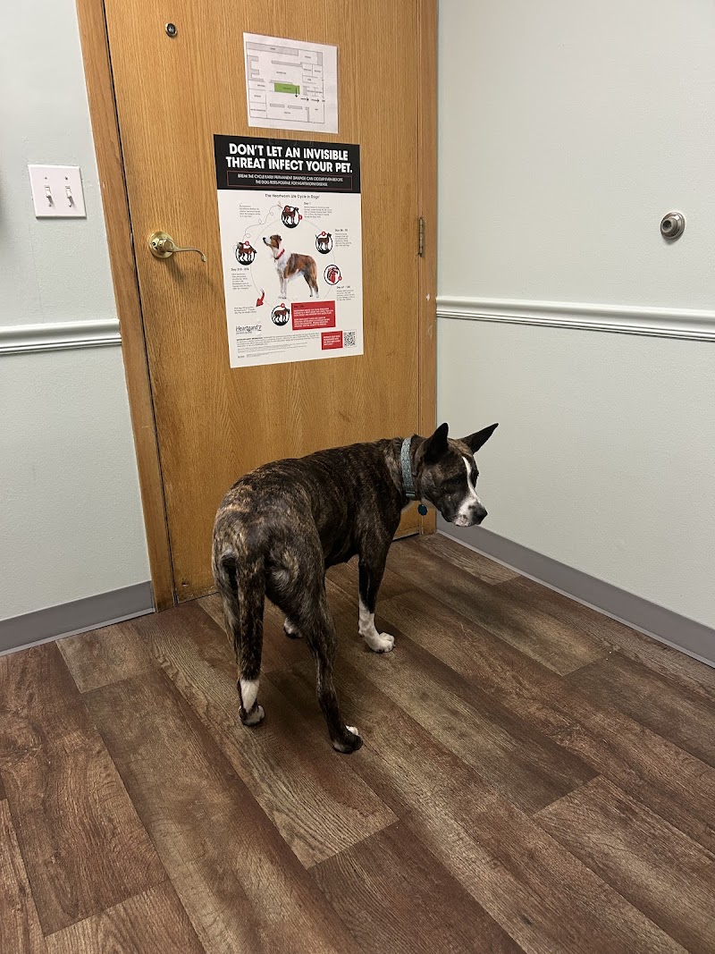 Access Veterinary Care