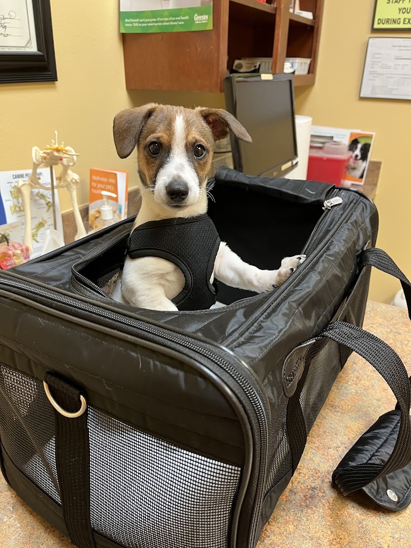 Campbell Park Animal Hospital