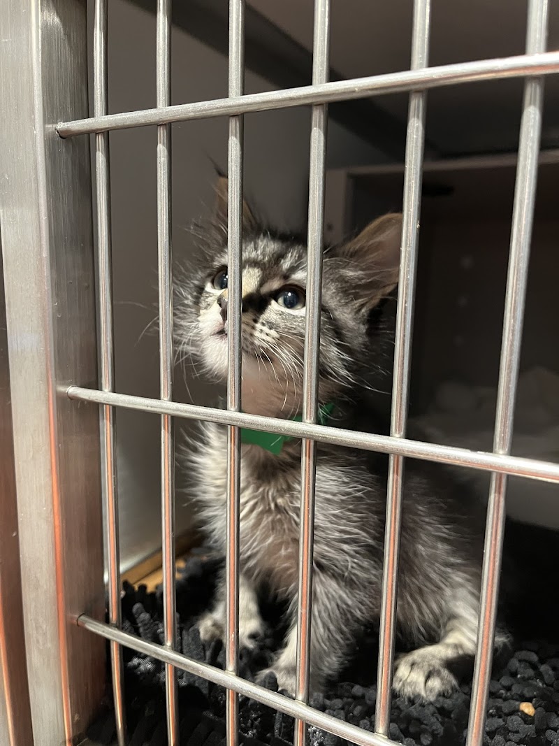 San Francisco Animal Care & Control