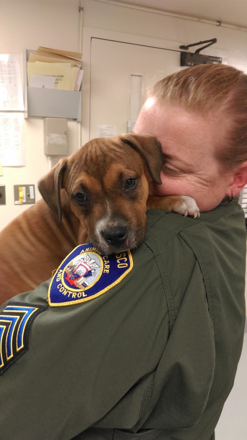 San Francisco Animal Care & Control