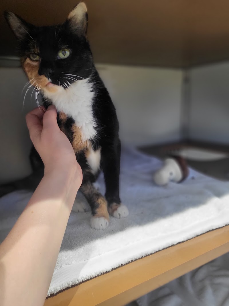 San Francisco Animal Care & Control