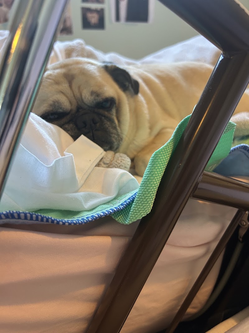 CoastView Veterinary Hospital